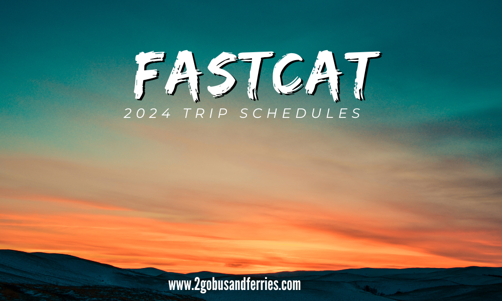 2024 FastCat Trip Schedules and Contact Numbers 2Go Bus and Ferries