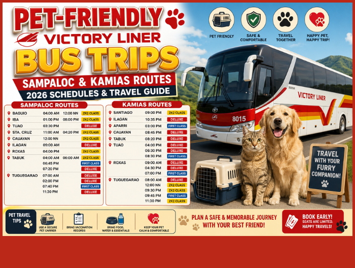 Pet-Friendly-Victory-Liner-Bus-Trips-to-Sampaloc-and-Kamias-Complete-2026-Guide-for-Traveling-with-Your-Pets